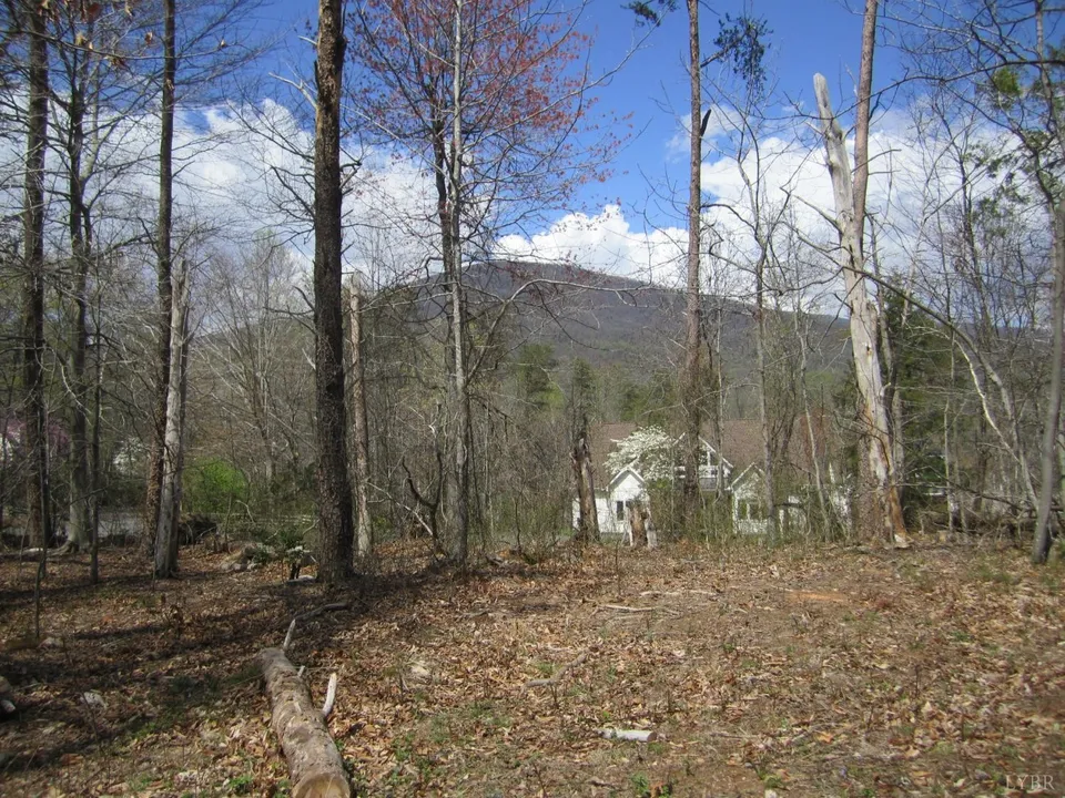 Property in Nelson