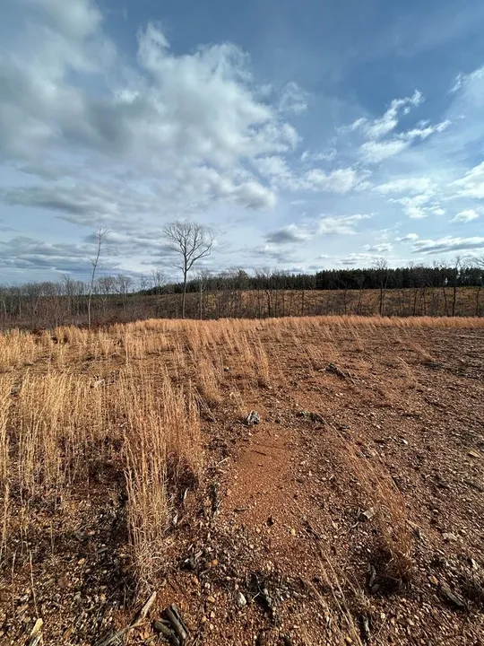 Property in Buckingham