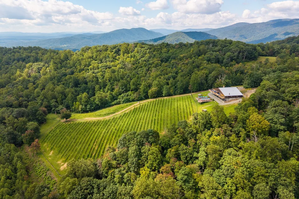 Property in Greene