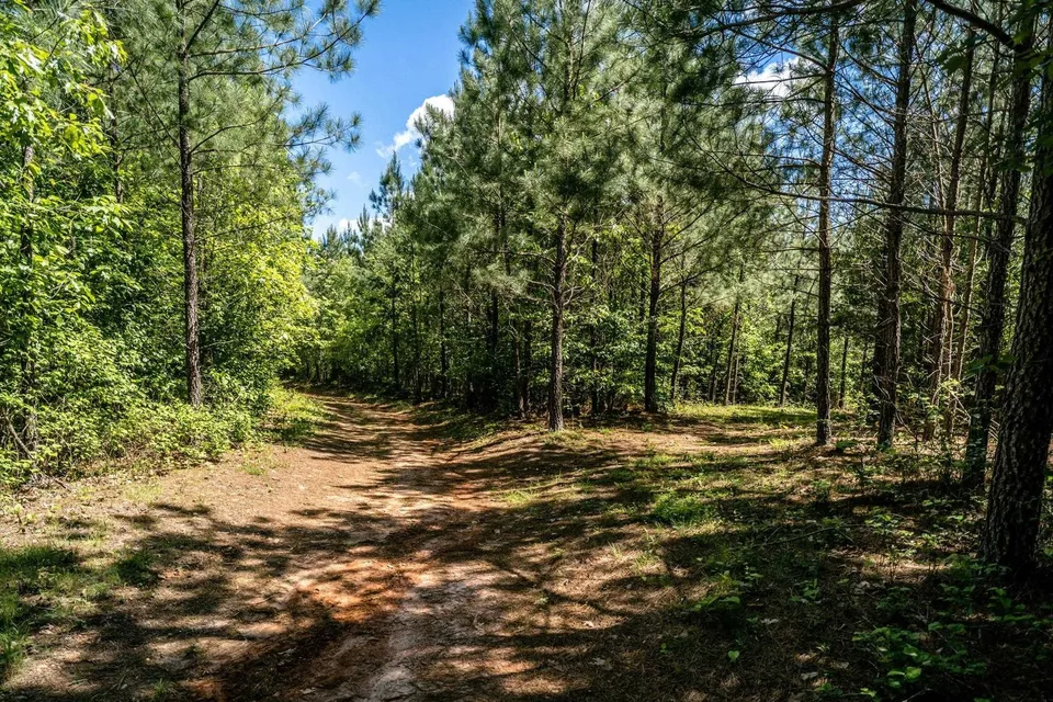 Property in Nelson County