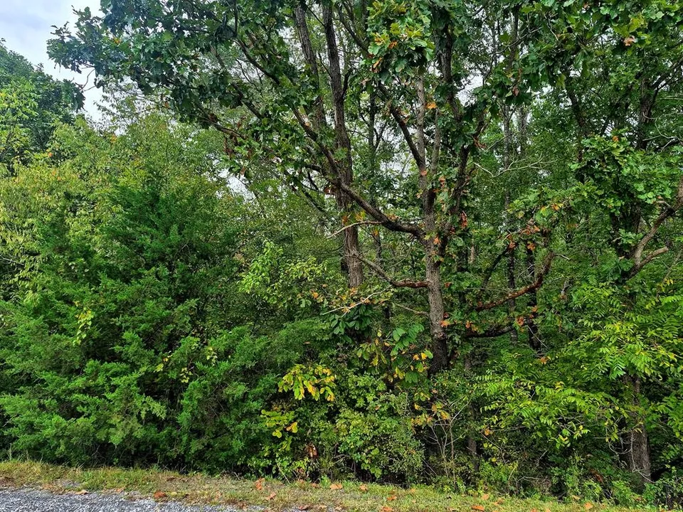 Property in Buckingham