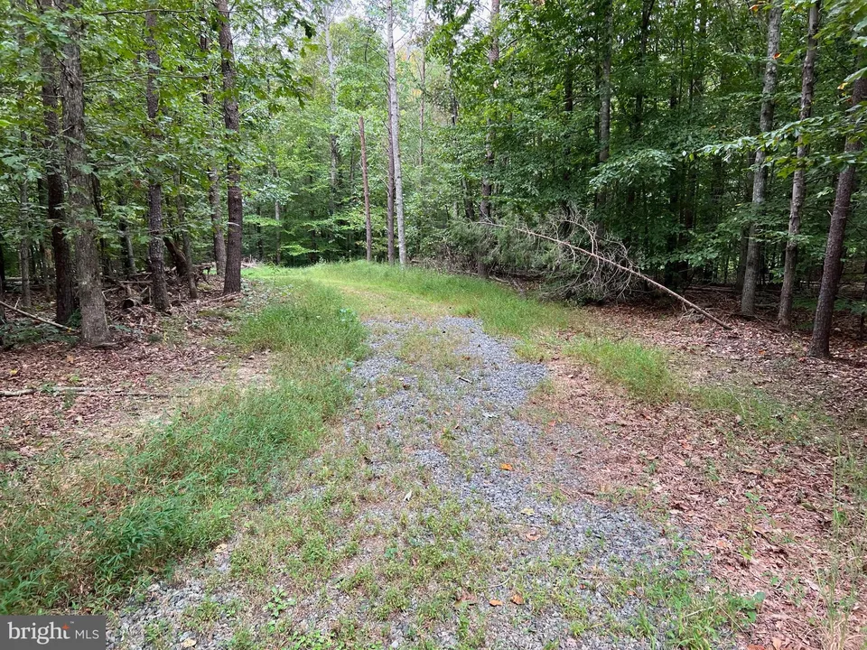 Property in Madison