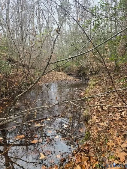 Property in Fluvanna