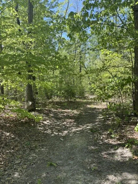 Property in Madison