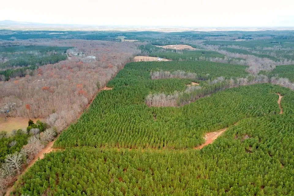 Property in Buckingham