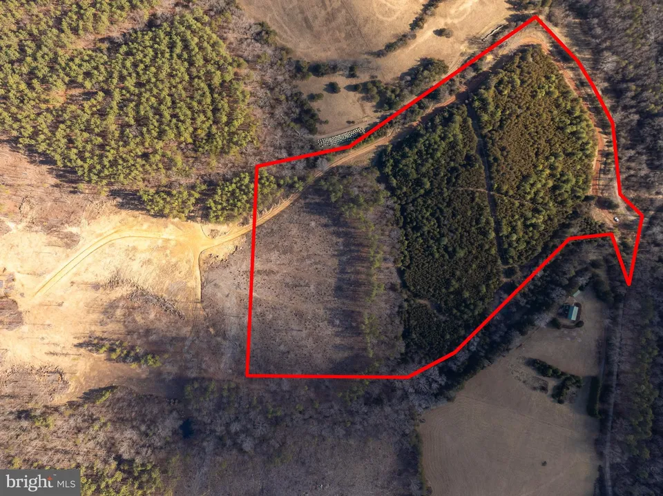 Property in Albemarle