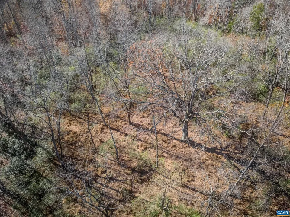 Property in Albemarle