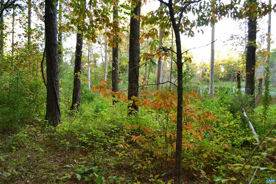 Property in Albemarle