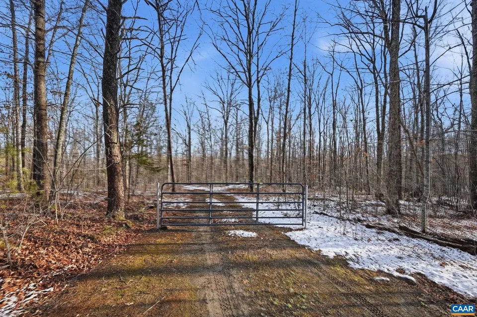 Property in Louisa