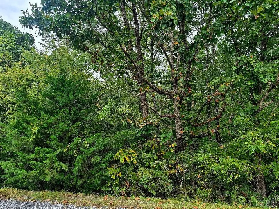 Property in Buckingham