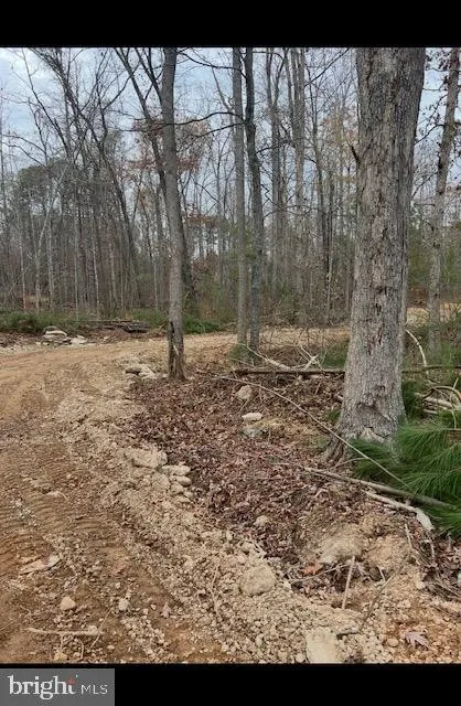 Property in Orange